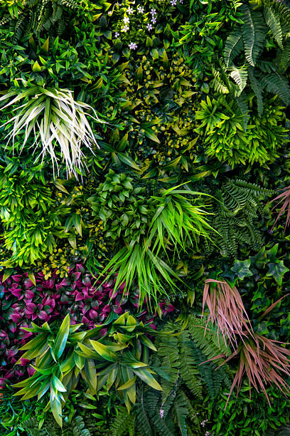 istock Green wall with various plants and flowers creating a vibrant backdrop 2213799028