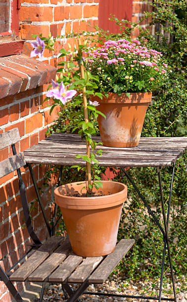 istock Potted flowers in bloom beside a rustic brick wall on a sunny day 2213800986
