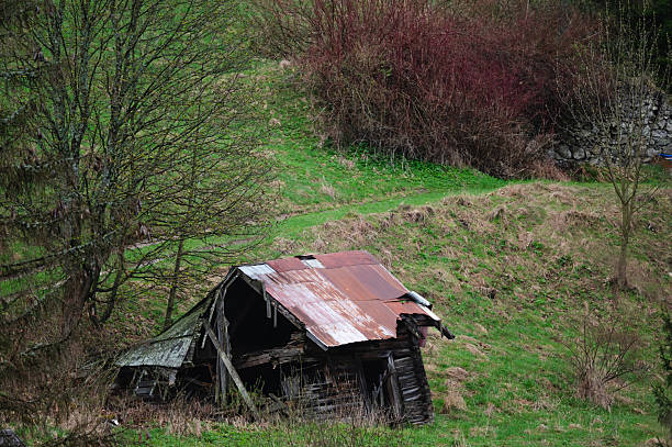 An old, weathered wooden shack with a rusted metal roof lies partially collapsed on a green hillside. Surrounded by sparse trees and early spring vegetation, the abandoned structure adds a sense of rustic decay and history to the peaceful landscape.