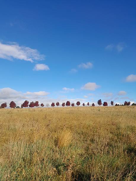 istock Gostwyck landscape 2213801987