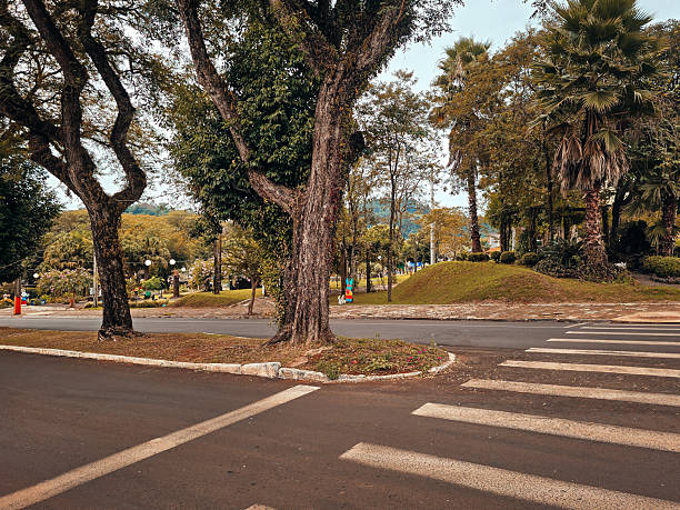 istock Sulina City 2213803353