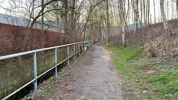 istock A Serene Pathway that Travels Along the Calm Riverbank Surrounded by Bare Trees and Nature 2213803578