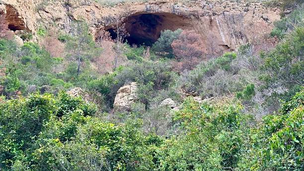 istock A Stunning Cave Landscape Surrounded by Lush Greenery, Perfect for Outdoor Exploration and Adventure 2213803887