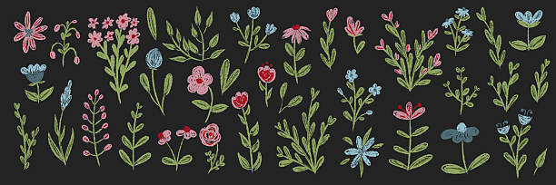Set chalk botanic blossom floral elements. Branches, leaves, herbs, wild plants, flowers. Hand drawn garden, meadow field collection. Kids freehand vintage pencil textured vector illustration isolated