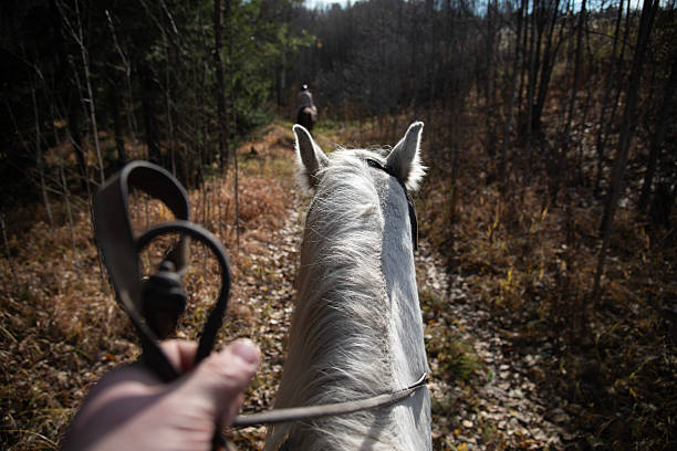 Riding Through Autumn Forest on a White Horse in Yekaterinburg, Sverdlovsk Oblast, Russia