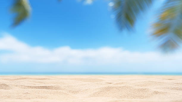 istock Empty tropical sand beach with palm leaf and clear sky abstract background 2213812617