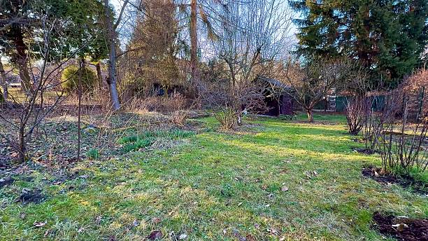 istock A Serene and Beautiful Garden Featuring a Rustic Shed, Embraced by Natures Beauty 2213816742