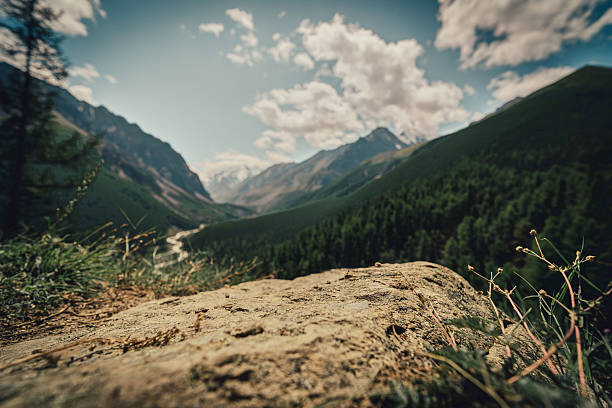 istock empty stone surface on the backgound of mountain forest 2213821346