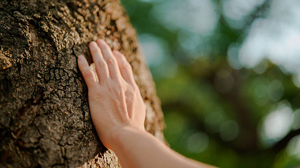 istock Young Asian man touching a big tree to receive its natural energy while relaxing in a public park. 2213823037
