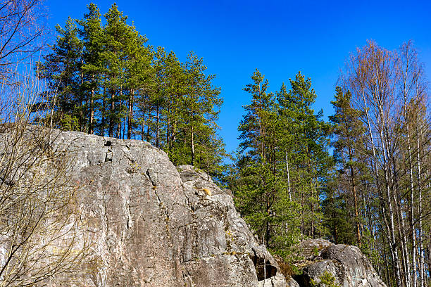 Pine Trees on a Rocky Outcrop Under a Clear Blue Sky