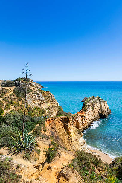 istock Rocky coastline in the Algarve (Portugal) 2213831467