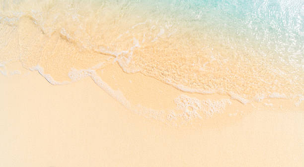 istock beautiful sandy beach, closeup, topview 2213832541