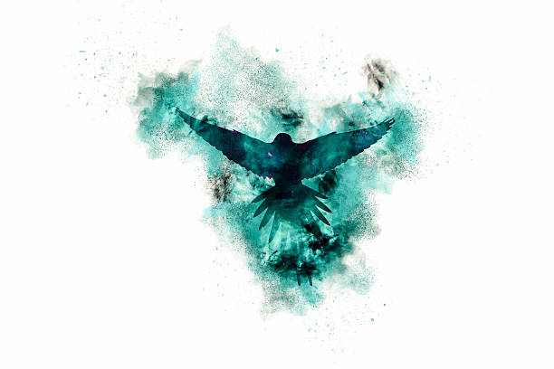 istock Birds. Abstract nature. Dispersion, splatter effect. Black background. 2213833761
