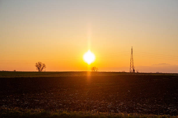 A farm field at sunset, with a tree and electricity pole. Background photo