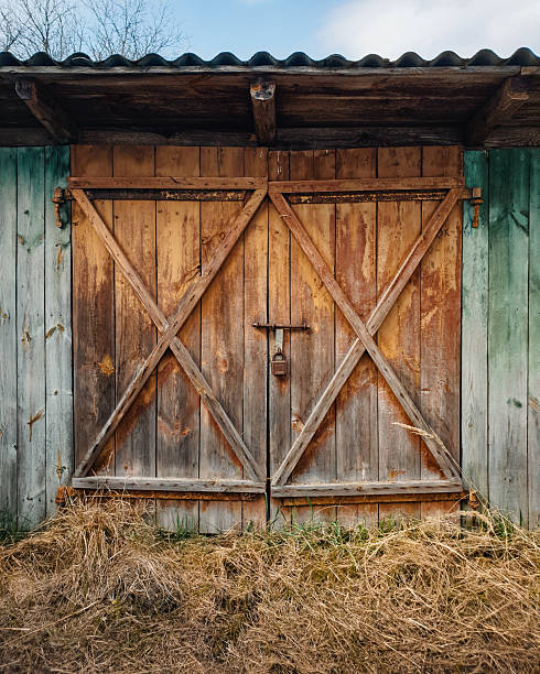 Rustic shed exterior with weathered planks walls and batten doors with padlock.
