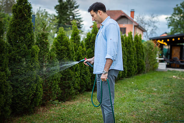 istock Man watering his garden with a hose 2213836085