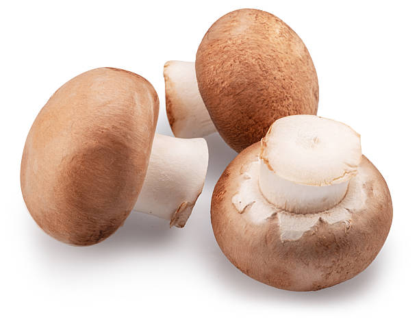 istock Three brown champignon mushrooms isolated on white background. File contains clipping path. 2213836180