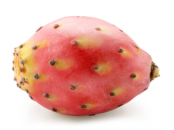 istock Opuntia fruit or prickly pear cactus isolated on white background. File contains clipping path. 2213836253