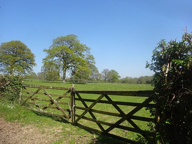 istock Serene countryside landscape with a wooden gate. 2213840133