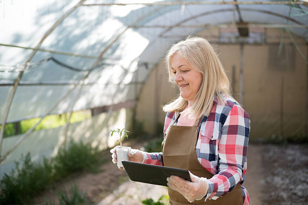 istock Mature woman working using digital tablet at greenhouse 2213841305