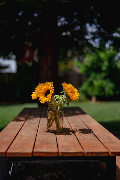 Yellow wild sunflowers bouquet in vase siolated on white