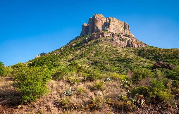 istock Big Bend National Park, in southwest Texas 2213844754