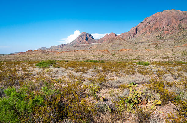 istock Big Bend National Park, in southwest Texas 2213844802