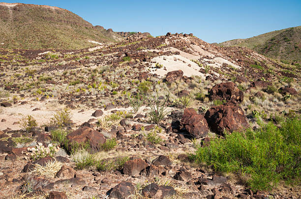 istock Big Bend National Park, in southwest Texas 2213845485