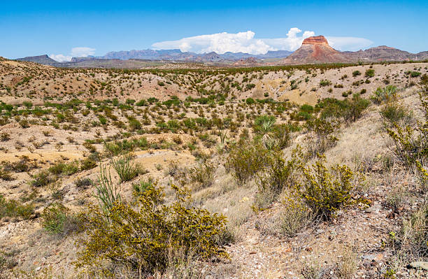 istock Big Bend National Park, in southwest Texas 2213845523