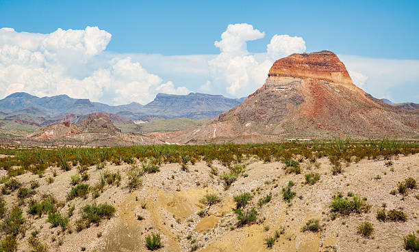 istock Big Bend National Park, in southwest Texas 2213845680