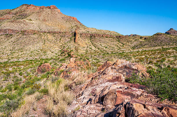 Outside of Big Bend National Park