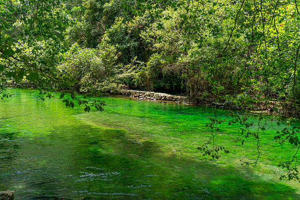 istock Fontaine-de-Vaucluse 2213846494