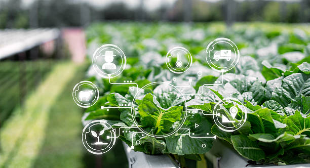 istock Innovative Farming Technology and Smart Agriculture Solutions 2213848252