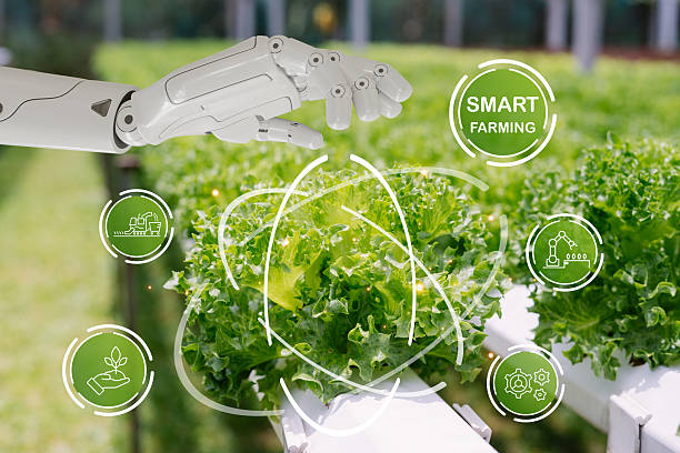 istock Robotic Hand in Smart Farming Technology for Sustainable Agriculture 2213848288