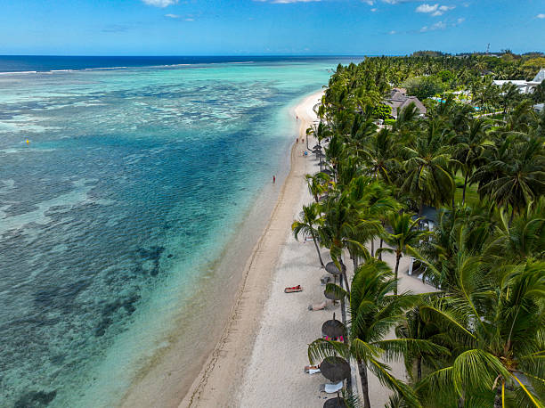Palm-lined tropical beach with sunbathers - Flic en Flac, Mauritius