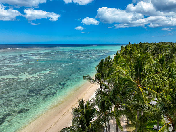 istock Palm-lined tropical beach with sunbathers - Flic en Flac, Mauritius 2213850323