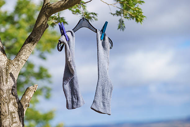Clothes hung on a line among trees in a forest setting, featuring sunlight softly illuminating the scene and representing a peaceful outdoor camping or nature-focused lifestyle with sustainable living.