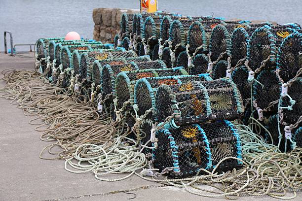 Close-up shot of old fishing net with tied ropes and metallic rusty chain