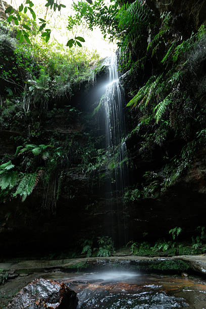 istock flowing waterfall over lush green plans 2213851205