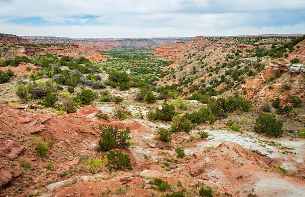 istock Palo Duro Canyon State Park, located in the Texas Panhandle 2213853594
