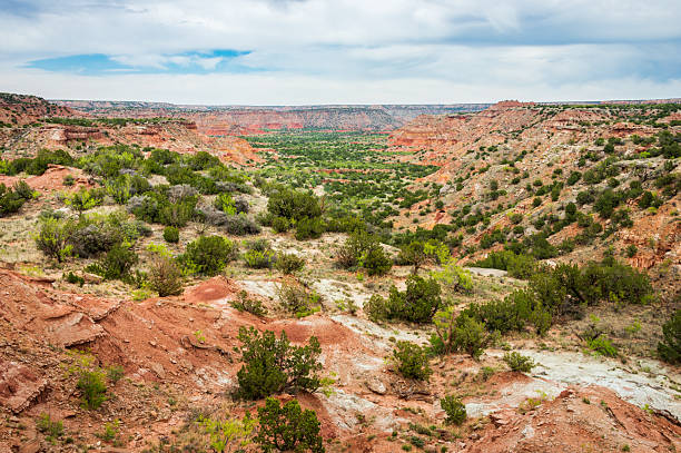 istock Palo Duro Canyon State Park, located in the Texas Panhandle 2213853616