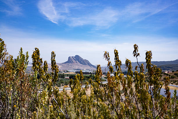 Scenic landscape view of the iconic Lover’s Rock (Peña de los Enamorados), a striking natural rock formation near Antequera, Andalusia, Spain. The mountain is famous for its profile resembling a reclining woman’s face, tied to local legend. Captured on a clear day with foreground vegetation and distant countryside.