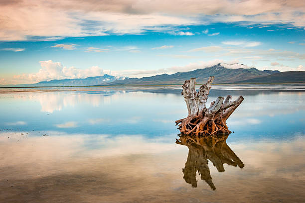 antelope island state park, largest island in the great salt lake - isla antílope fotografías e imágenes de stock