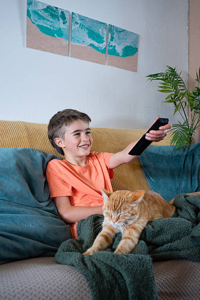 istock Boy watching tv with sleeping cat on sofa at home 2213855840