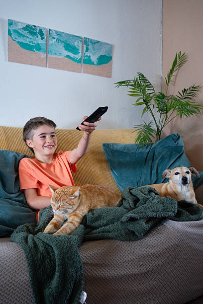 Smiling boy watching tv with cat and dog on sofa