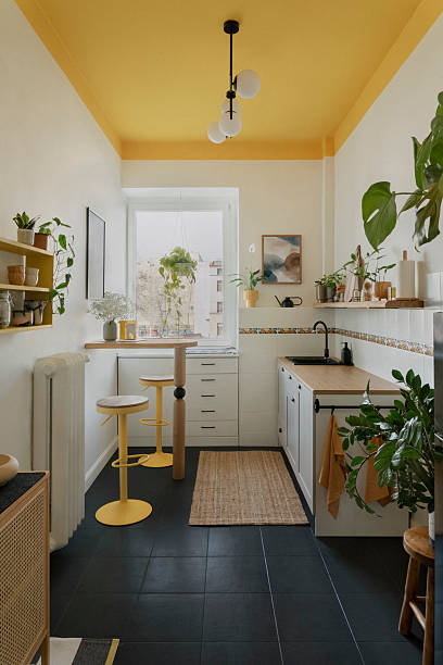 istock Eclectic kitchen interior with yellow ceiling, black floor and a mix of plants, textures and cheerful tones. 2213857126