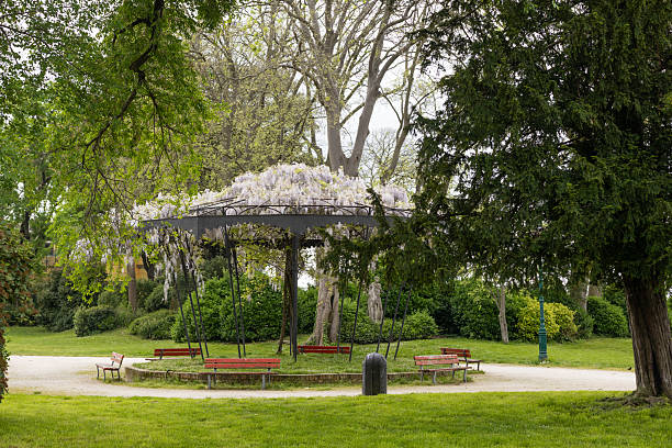 Peaceful park in Venice with flowering pergola