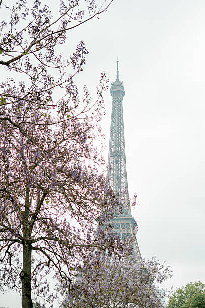 Eiffel Tower. French architecture, Paris streets, Europe. Spring.