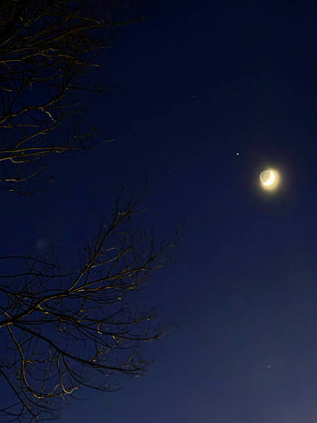 istock Crescent moon illuminates starry night sky with silhouetted bare tree branches creating a serene winter evening landscape 2213871350