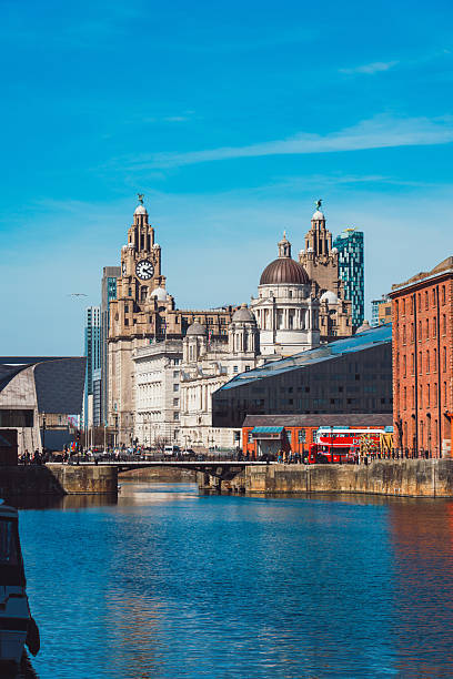istock Royal liver building shining under blue sky in liverpool 2213880844